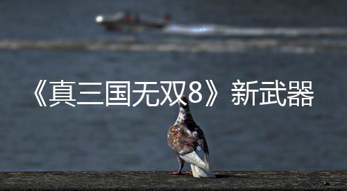 无双器昊真转锤新武三国视频演示