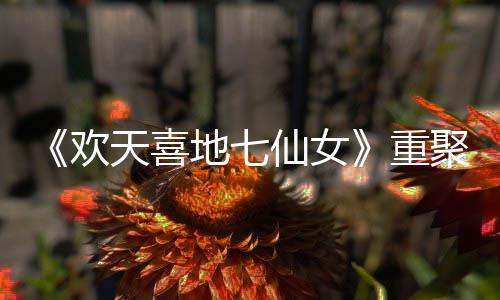 王牌网友牌重直呼仙女地七对王天喜聚爷青欢回