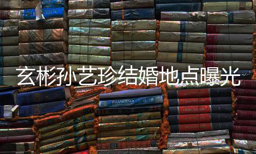 珍结玄彬点曝将在举行光 孙艺首尔山庄婚地婚礼华克