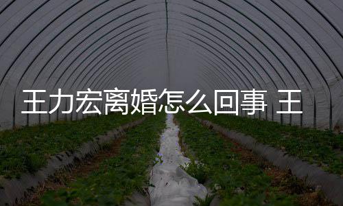 王力王力离婚子么回个孩事 什么有几宏离婚怎宏为