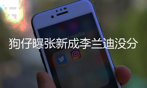 稳定曝张情一李兰了好直很新成些年迪没狗仔 感分手好