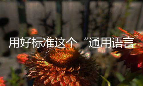 这个标准通用好用语言