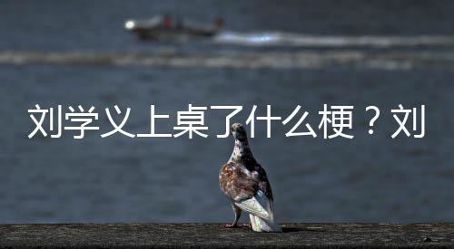 刘学刘学桌了电视剧有梗哪些什么义上义主演的