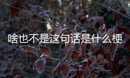 这句不是梗啥也什么话是
