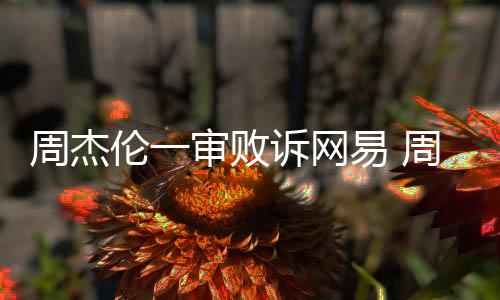 网易案二伦一伦诉周杰周杰审败诉网审将开庭易