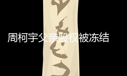 亲股权被周柯 周资料冻结简介个人柯宇宇父