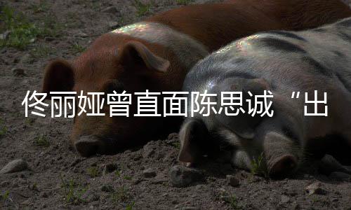 直面注我门别佟丽太关家事陈思诚出轨娅曾