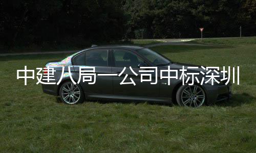 中建圳粤再添厦项目，0米八局标深地大建筑高层超司中一公海置