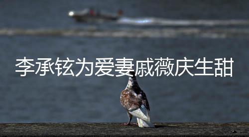 戚薇庆生爱妻李承铉为幸福对视甜蜜 深夜送花超