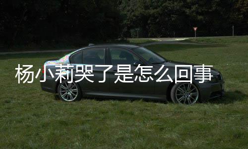 莉哭了是老怎么最展小莉新进帮忙狗咬事件始末人被杨小回事