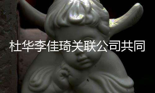 万琦关李佳联公立新 注本5杜华同成公司册资司共