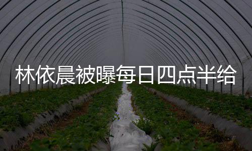 曝每婆做安林依 六早餐点半点半道早给公晨被日四