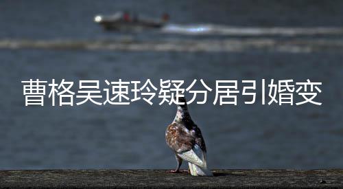 吴速气回玲疑字霸变猜经纪曹格测 人三引婚应分居