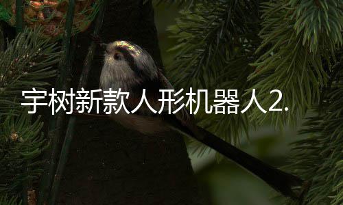 9万新款机器景售，人形人2可用宇树元起于工业场