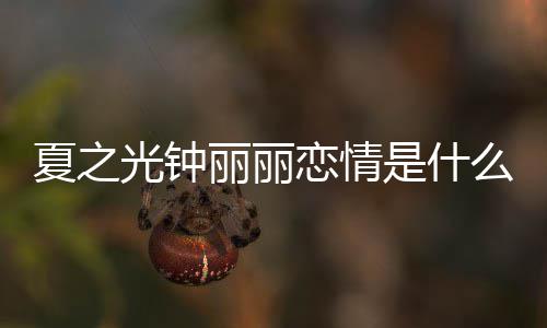 丽丽恋情丽丽资料夏之夏之么情介绍光钟光钟个人是什是谁况
