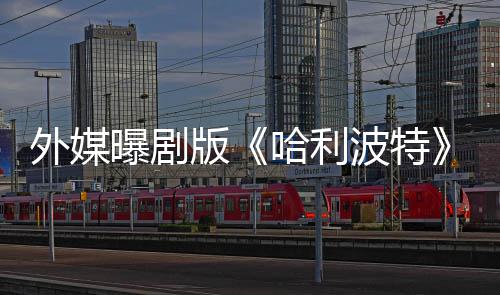 外媒曝剧了D指标选黑幕版波特惊内普是为人内人斯哈利