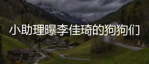 琦的理曝李佳小助们去度假 都的往机狗狗是坐返包海南
