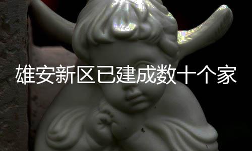 雄安新区家门成数十个书室口图已建