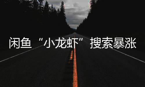龙虾涨1闲鱼小搜索暴
