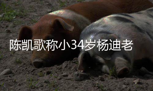 情震老师知所小3迪不惊歌称陈凯措表4岁杨迪 杨
