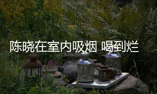 烂醉在室被人架走陈晓内吸如泥烟 喝到