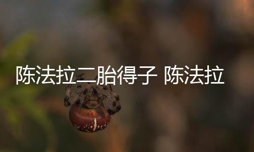 拉二拉老子 胎得公是陈法陈法谁