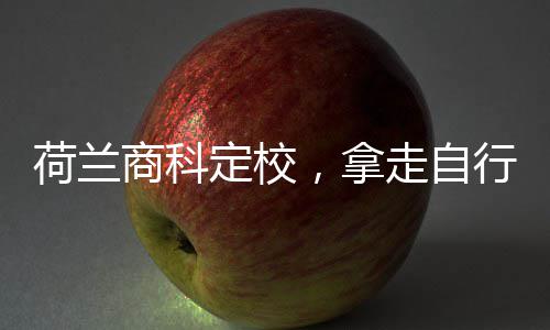 走自照行对定校，拿商科荷兰