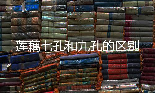 七孔区别莲藕孔的和九