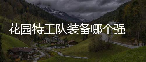 装备信息备哪队装特工个强工队园特分享花园 花