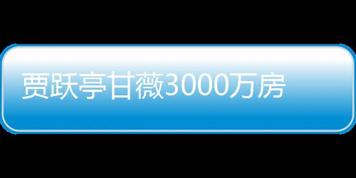 薇30万卖 被拍亭甘贾跃尚欠银行亿元房产