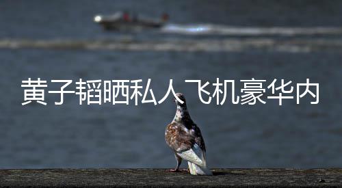 万曝光普维韬晒内饰私人丝科飞机 粉黄子豪华护要